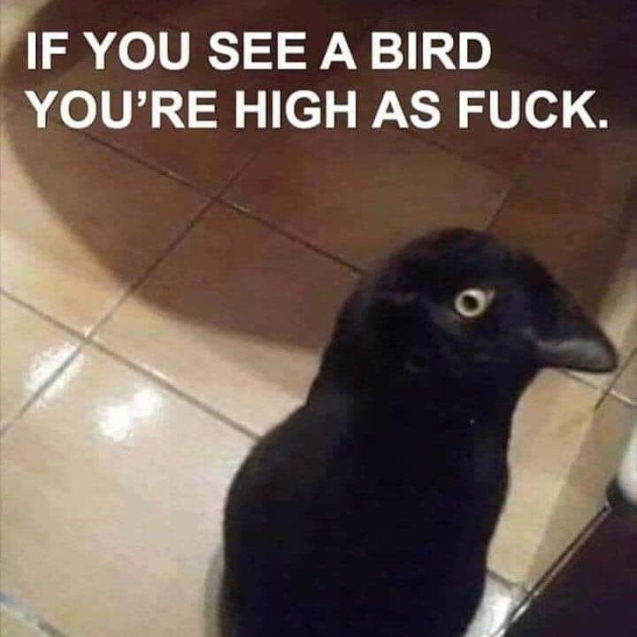 What do you see ?😂