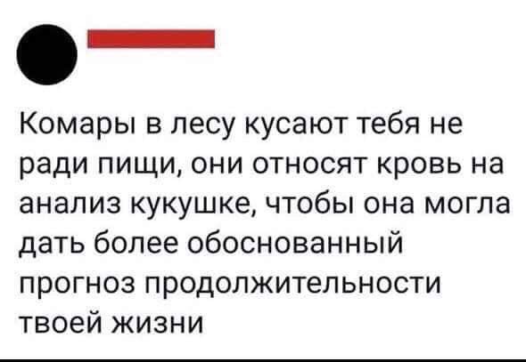 nika_is_nika's tweet image. 