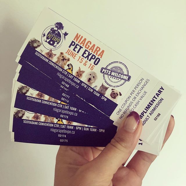 Got my hands on more than just a few free tickets to the <a href="/niagarapetexpo/">niagarapetexpo</a> this weekend!! Up for grabs message me if you want one 👆👆
#giveaway #niagarapetexpo #niagara_falls #communityevent #tickets bit.ly/31uwyat