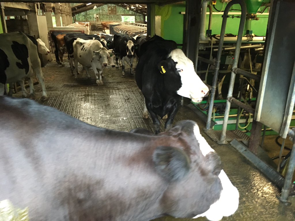 RC Brady tweet media