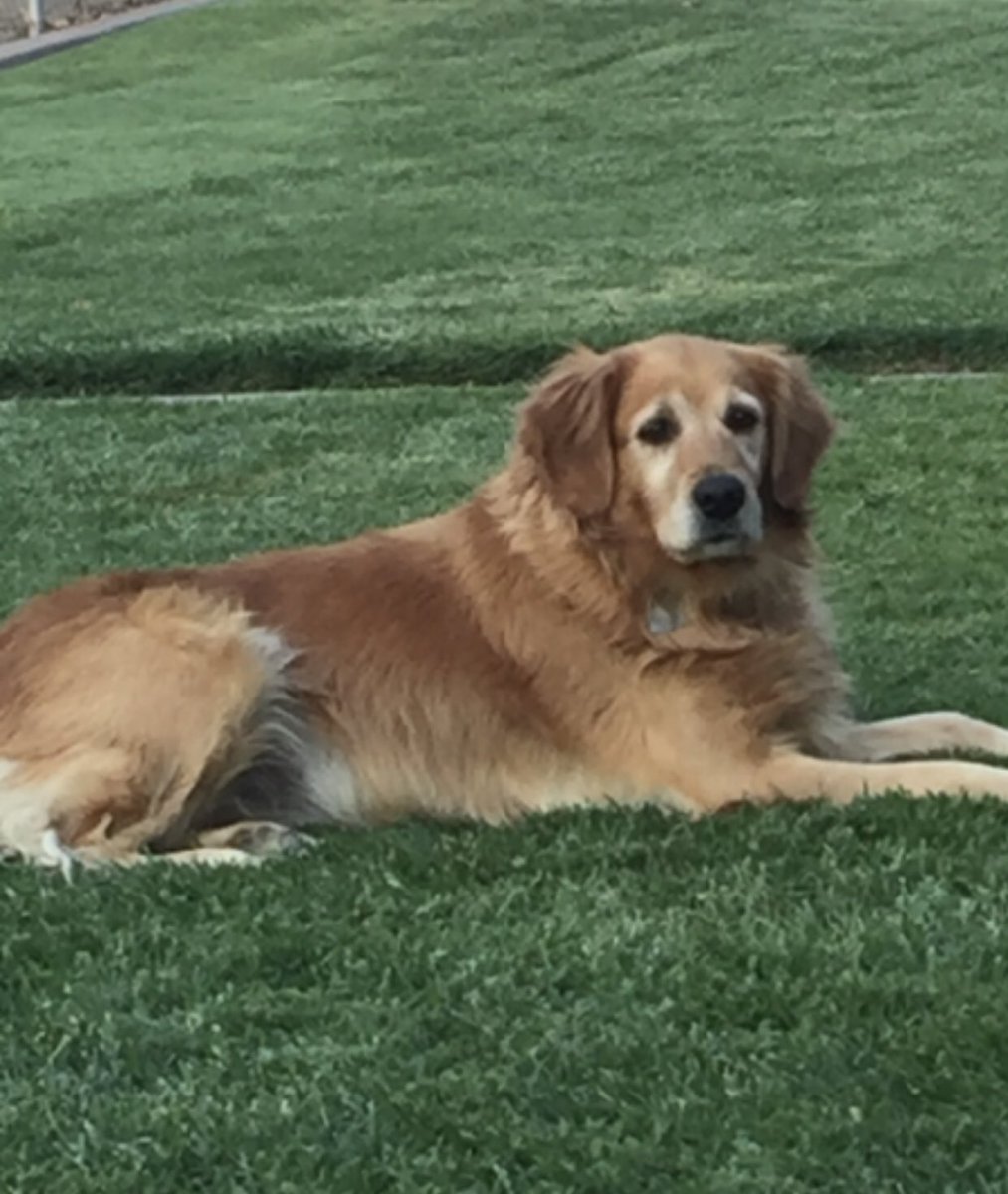 kreinkee's tweet photo. It’s just not the same w/o you 😢 RIP Kacey girl 😘 https://t.co/Zp0ECRCSqV