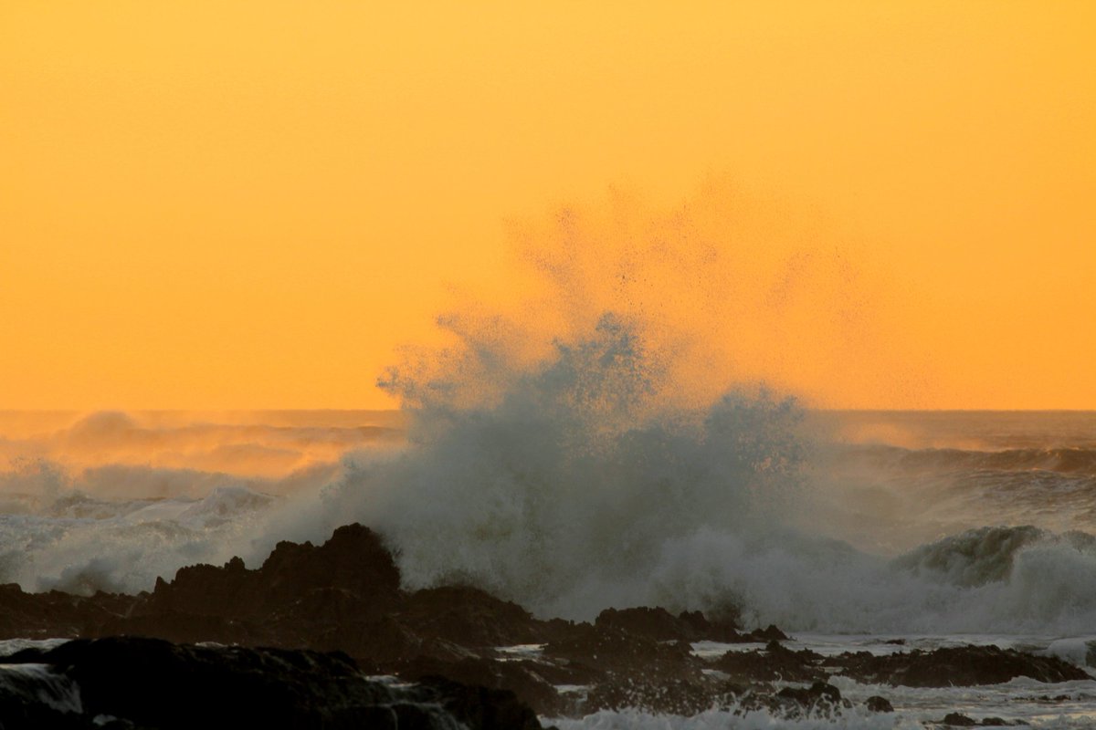 SurfingDevon tweet picture
