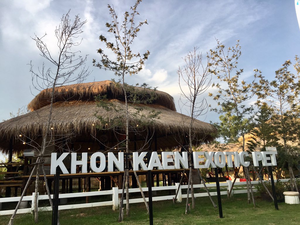 PPraopanit's tweet photo. เราให้เต็มสิบ บรรยากาศดีเว่อร์ https://t.co/Nd0DvITs3J