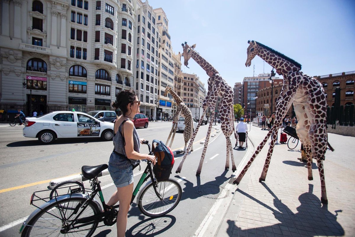 🔸🔸 Els animals conquistant la ciutat. Girafes i Wolves han passat per #TerceraSetmana sota la mirada del públic. 🦒 🐺 
Quin vos va agradar més? ☺️

Foto: Provi Morillas