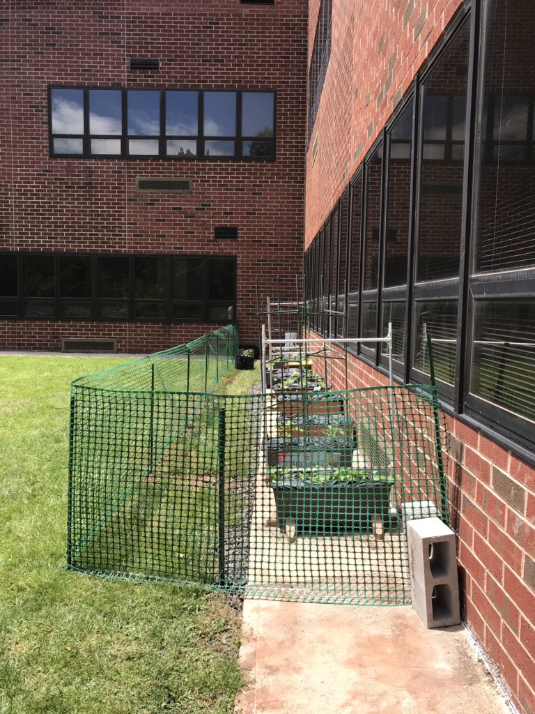 Mary Lucille Ragoza (@lucyragoza) on Twitter photo THANK YOU Joe and Giada Valente for helping install our temporary BTS garden fence this morning! See Dad teaching daughter the tools of the trade and our finished product - PRICELESS! <a href="/BedminsterPTO/">BedminsterPTO</a> <a href="/CorbySwan/">Corby Swan</a> @jgiordanobts @SraGriffithBTS THANK YOU Joe and Giada Valente for helping install our temporary BTS garden fence this morning! See Dad teaching daughter the tools of the trade and our finished product - PRICELESS! <a href="/BedminsterPTO/">BedminsterPTO</a> <a href="/CorbySwan/">Corby Swan</a> @jgiordanobts @SraGriffithBTS