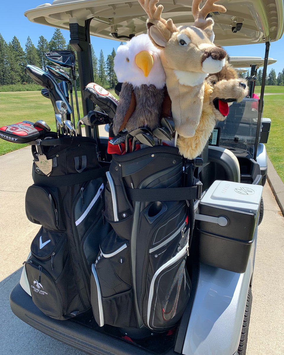 Wait. Who’s bag is the one with the covers? C or p?  Lol. @circlingravengolfclub