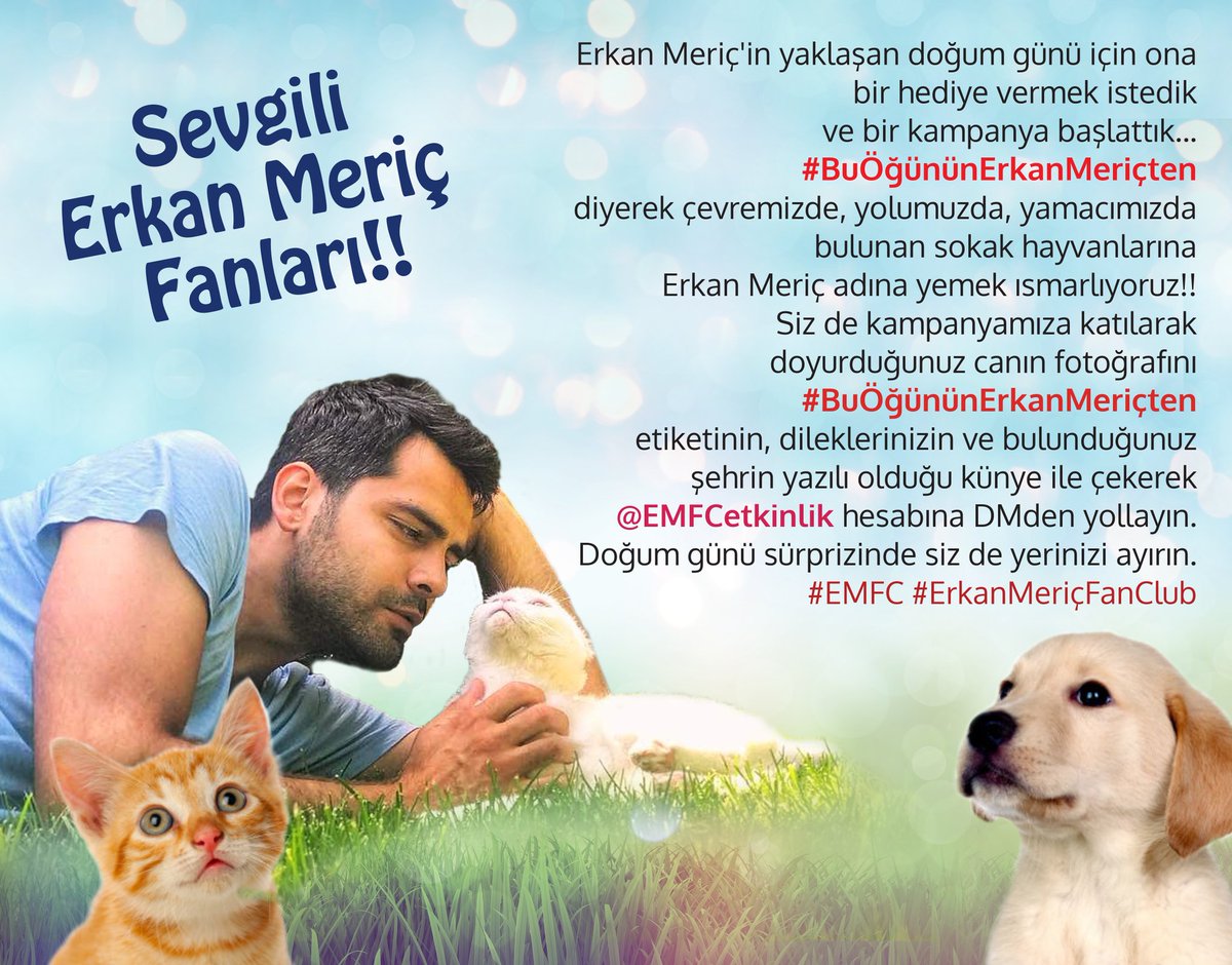 sessizce_ask's tweet photo. Erkan Meriç için sokaktaki canlara yemek ısmarlıyoruz... #EMFC #ErkanMeriç #BuÖğününErkanMeriçten https://t.co/7G7Bu6OMg0