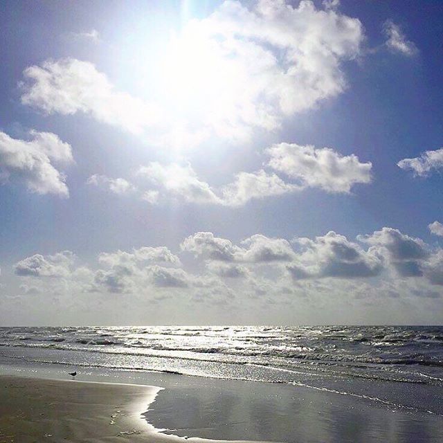 When the sun shines, we shine together! ☀️ No ☂ needed on this beautiful day in #PortA! #seahabilitation bit.ly/2KTmqSO