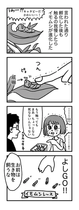 アゲハ蝶と私③ 
ほどほどが出来ない 