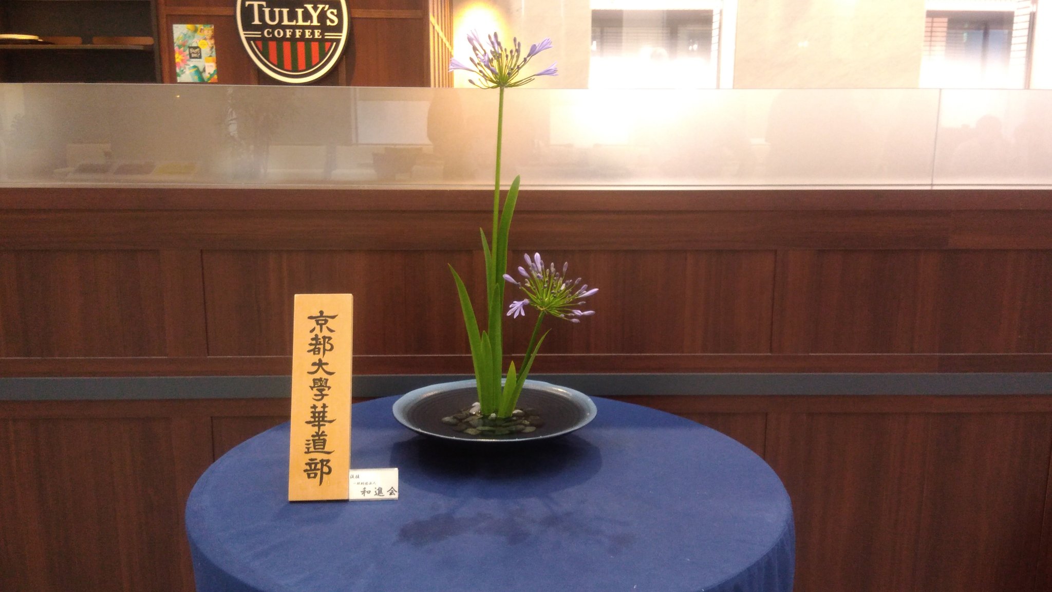 京大華道部 未生流笹岡 6月の病院飾華はアガパンサスをいけました アガパンサスという名前は Agape 愛 Anthos 花 で 愛の花 という意味だそうです 京大華道部は年中新入部員を募集しているので興味のある方はいつでもご連絡下さい 華道