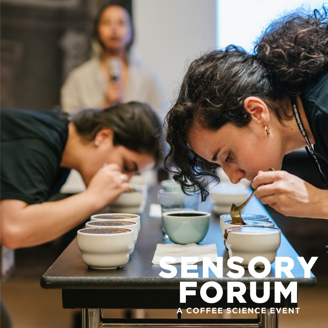 SpecialtyCoffee's tweet image. Are you curious about the science of coffee? Join us in Taiwan from July 18-19 for Sensory Forum! Check out the full program and speakers here:  #sensoryforumtaiwan #coffeescience #specialtycoffee