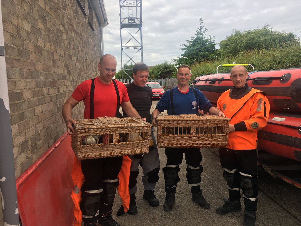 <a href="/BostonLFR/">Boston fire station</a>  rescued 6 chickens and 1 cat from a property that’s been effected from the flooding in Wainfleet <a href="/LincsFireRescue/">Lincolnshire Fire and Rescue</a>