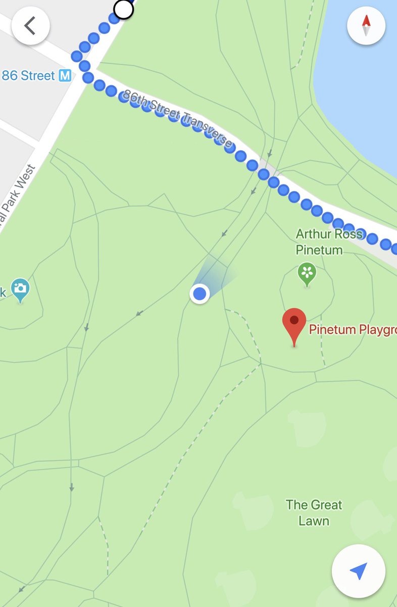 we’re having our family picnic today! we’re right near pinetum playground in central park- if you enter on west 86th st and look for the swingsets, you should see us. DM if you have trouble!