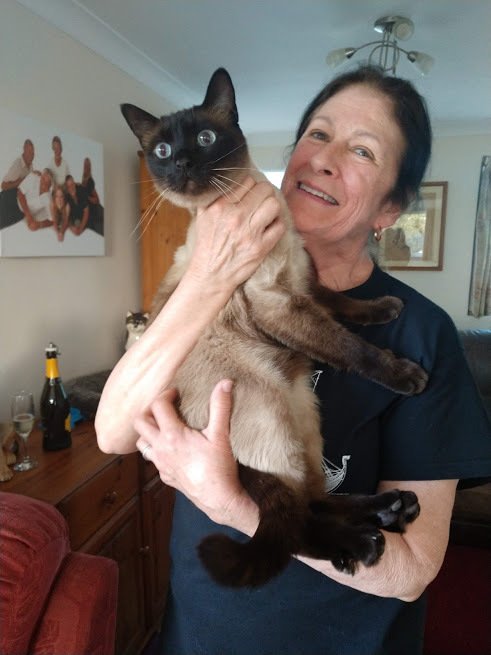 BaileyBoatCat's tweet photo. Museum of Maritime Pets News https://t.co/LbXcw6P04n https://t.co/wE7vo8AYoI