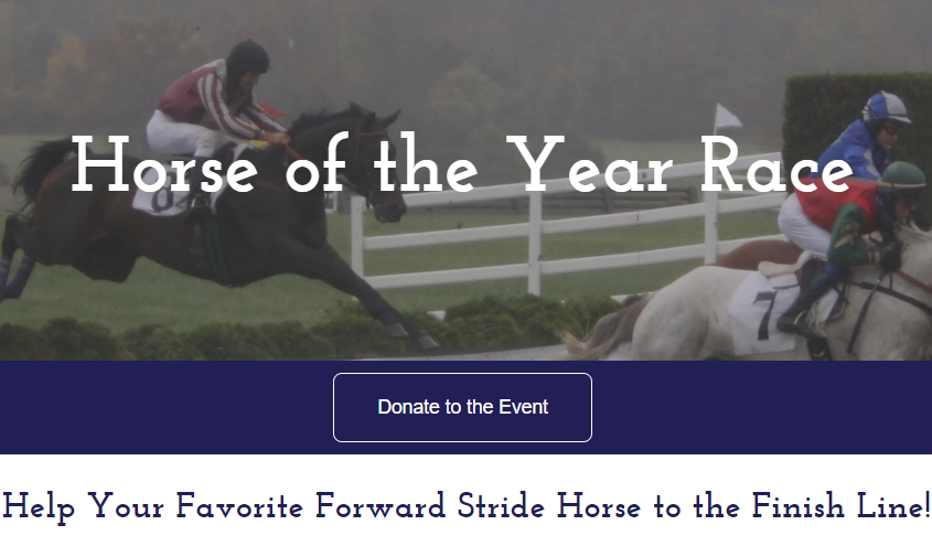 ForwardStride's tweet photo. Help us crown the #ForwardStride Horse of the Year 2019! All of our program horses are racing to the finish line by earning #donations. All horses who raise $3,000 by Monday, August 26th, will be eligible to win Horse of the Year via a community vote!
https://t.co/La3fN2RdxU https://t.co/zgxF9ck9Re