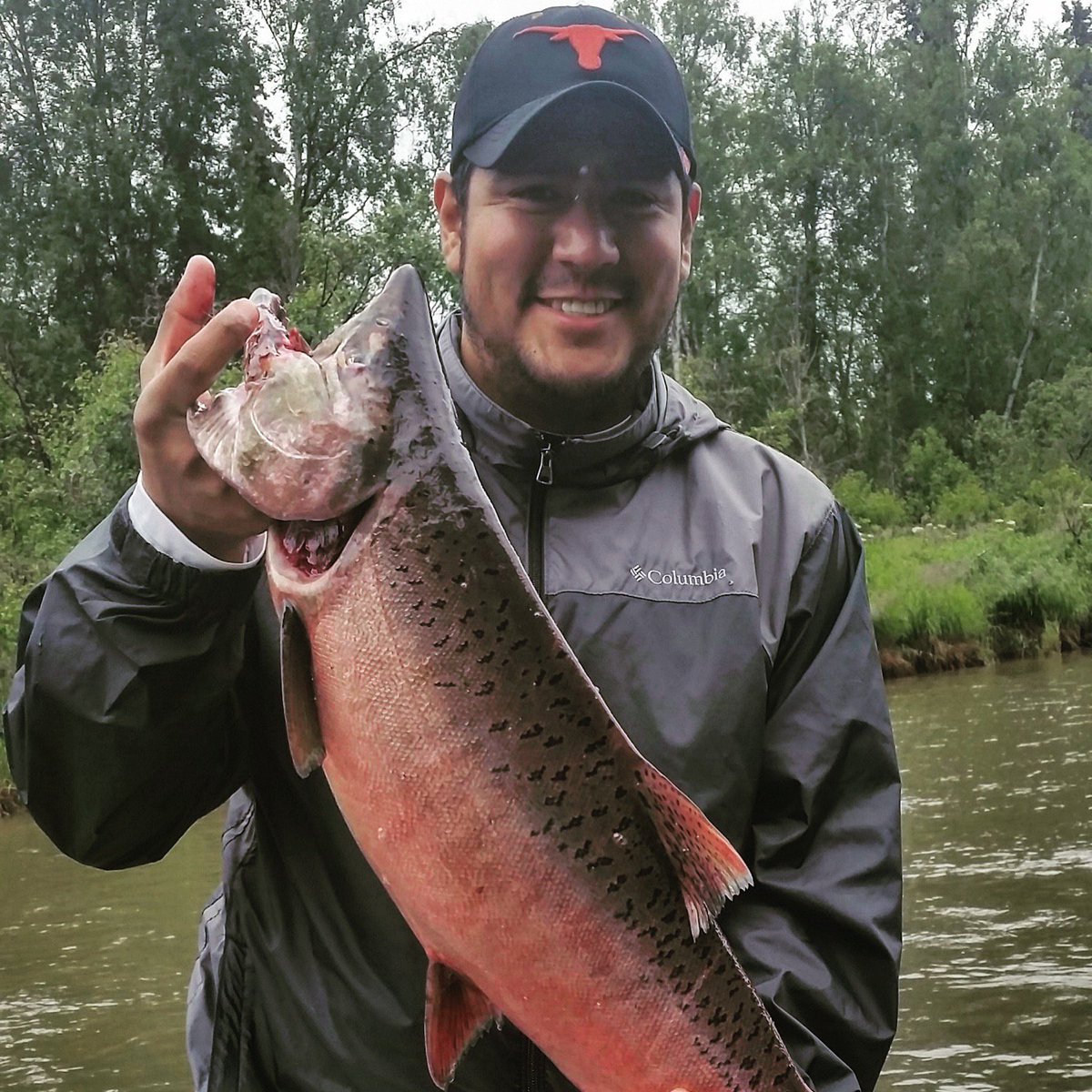 FishAlaskamag's tweet photo. Dan Cantu of Texas “braved the rain and cold” to catch this Little Su #kingsalmon, a self-described catch of a lifetime for this Lower 48er. #FishAlaska #fishing #Alaska https://t.co/LT6g219sf0