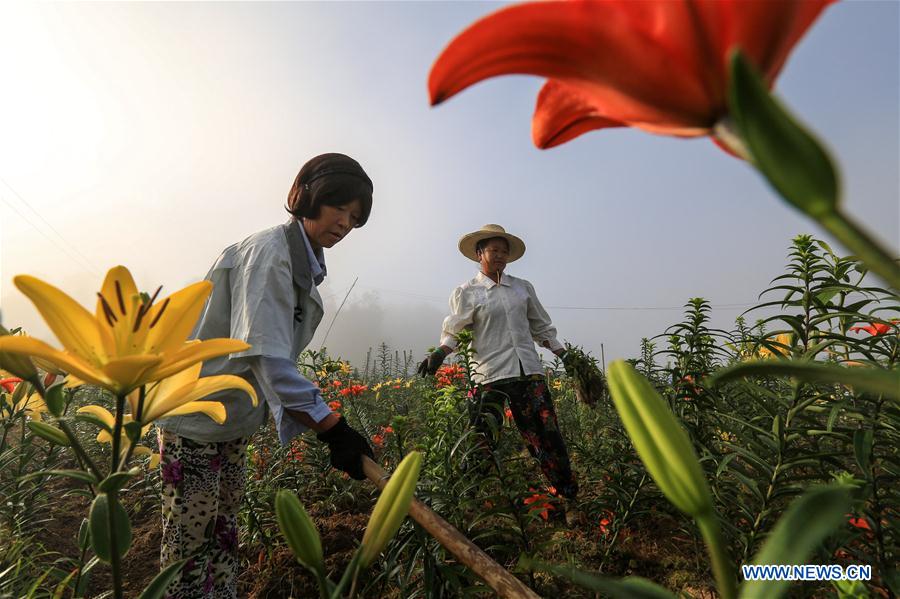China Daily tweet media