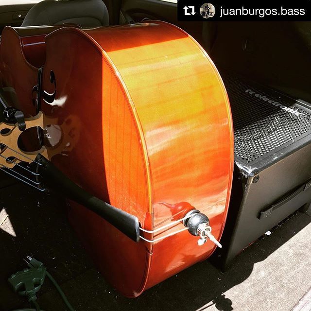 bureauOfBass's tweet photo. #Repost @juanburgos.bass with @get_repost
・・・
Loaded up and ready to rock. Good things happening! #loaded #musician #bassist #rockabilly #uprightbass https://t.co/M2u8bAiOCx https://t.co/IvJ692QDff