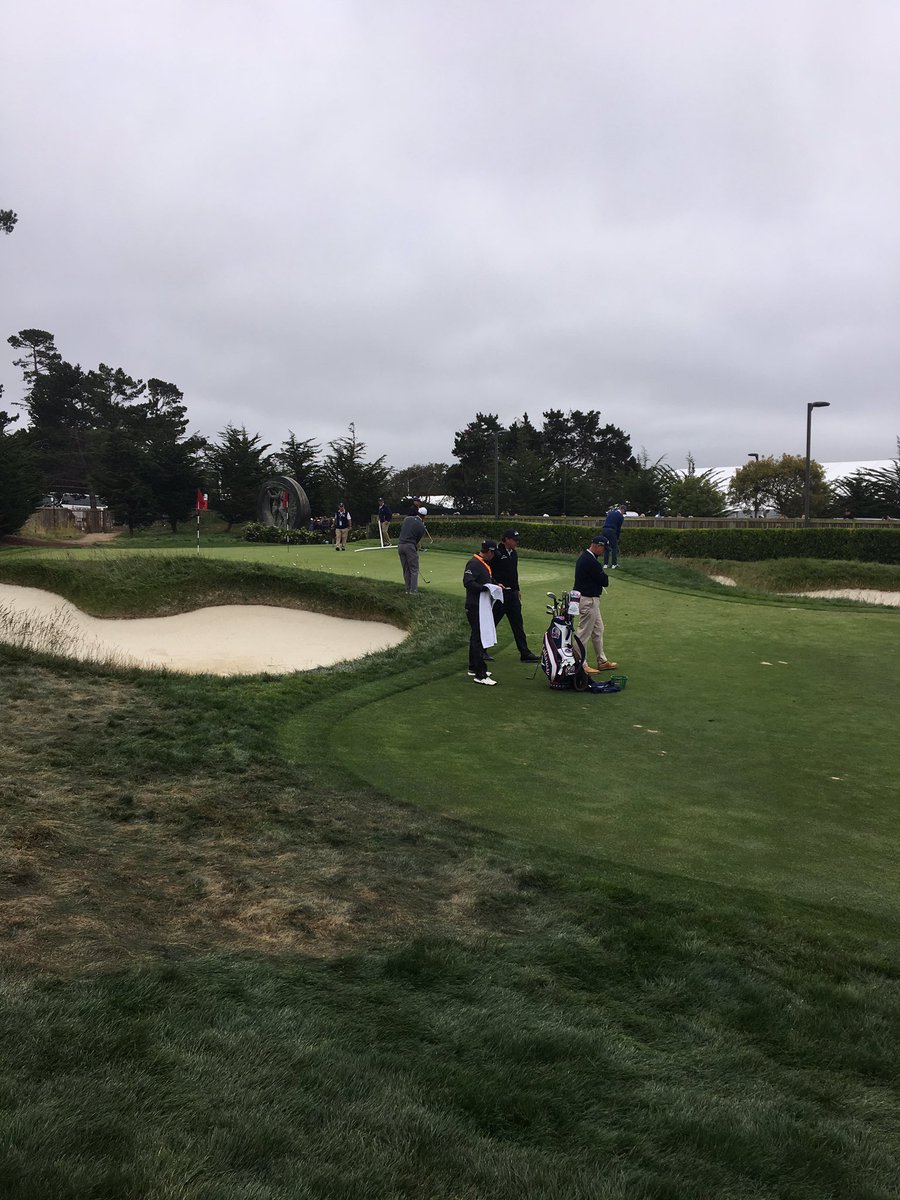 Tiger Tracker tweet media