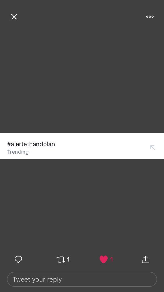 smirkygrant's tweet photo. ITS TRENDING YALL WE DID KEEP GOING #alertethanandgraysondolan #alertethandolan #alertdolantwins https://t.co/0NDAXaFUWf