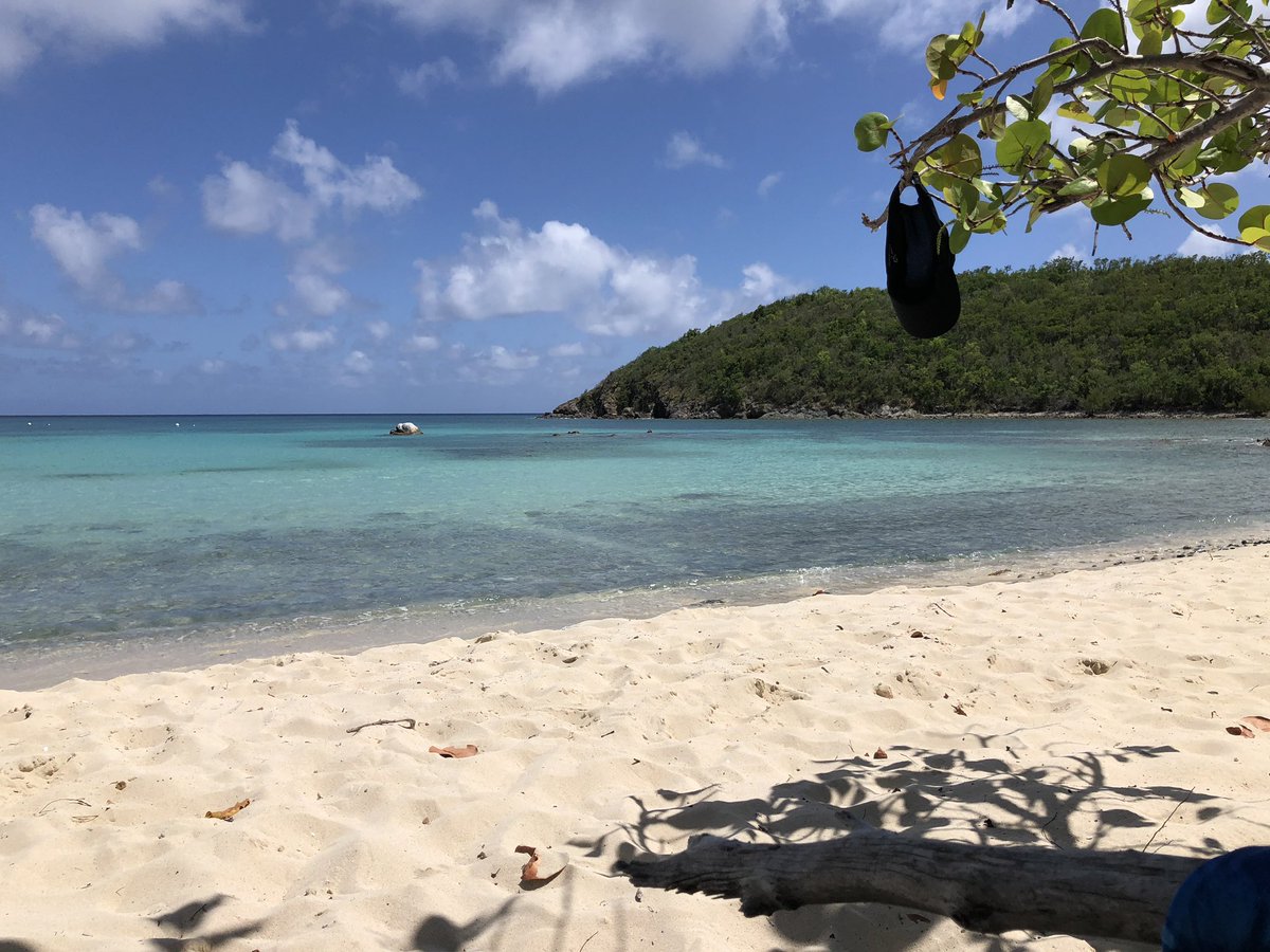 stjusvi's tweet photo. Beautiful Day under a Seagrape. #StJUSVI https://t.co/KII0z0C2Wx