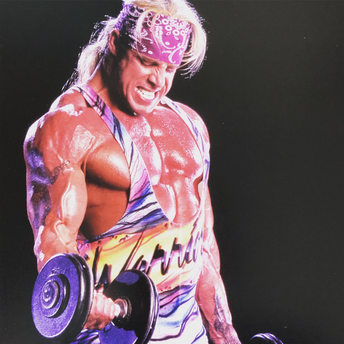 the ultimate warrior the ultimate warrior