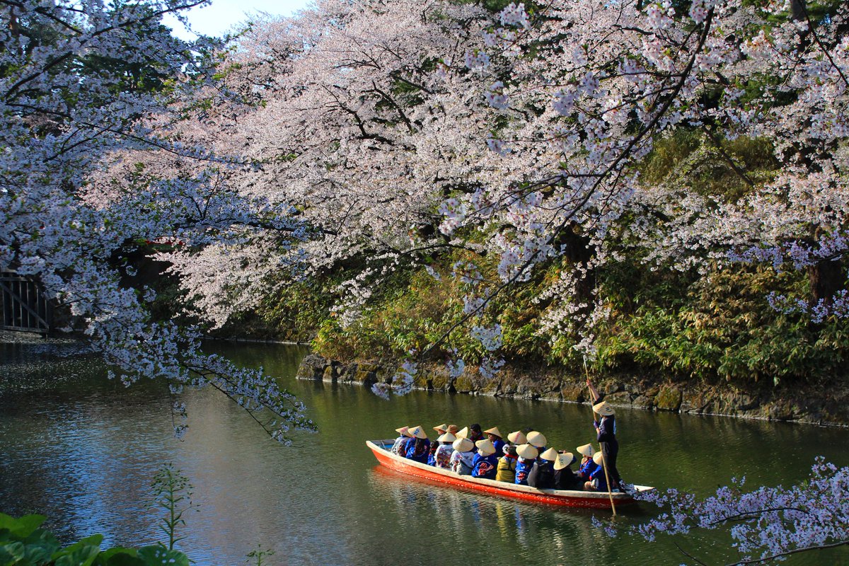 ko_mori4 tweet media