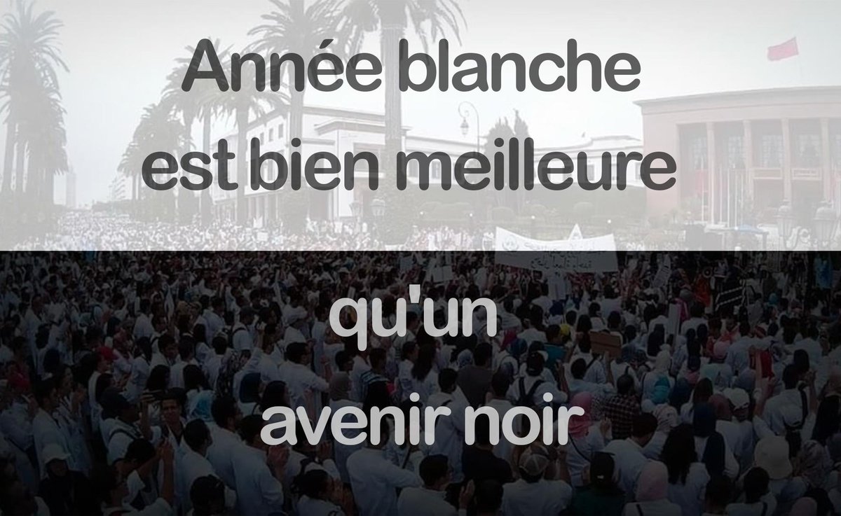 anas lyantouri tweet media