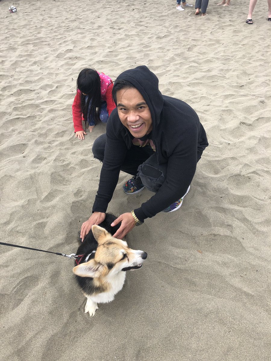OhMattG's tweet image. #CorgiCon