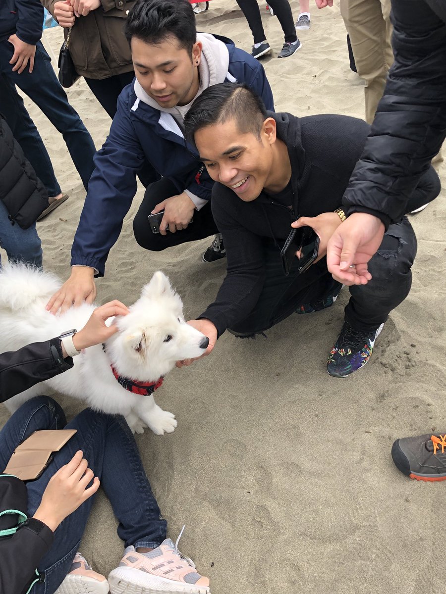 OhMattG's tweet image. #CorgiCon