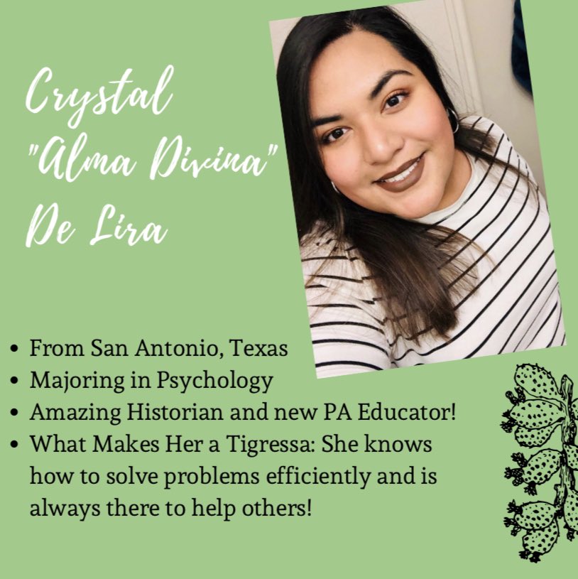 TECH GAMMAS tweet media