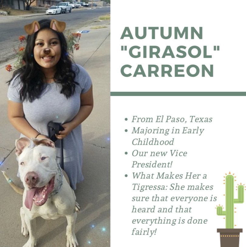 TECH GAMMAS tweet media