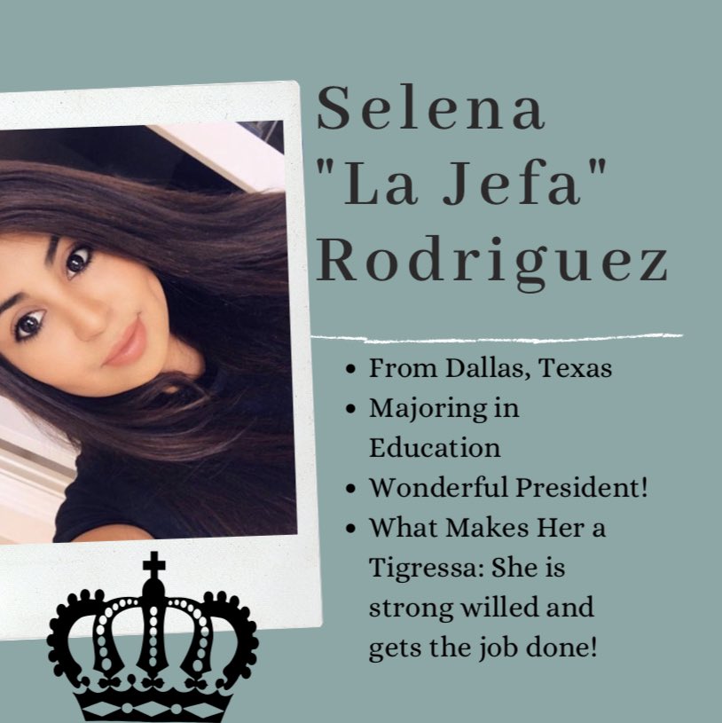 TECH GAMMAS tweet media