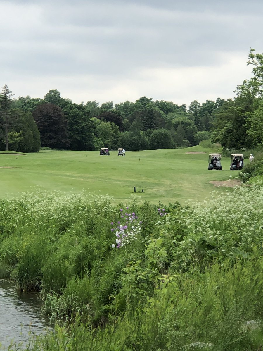 <a href="/Markhamgreen/">Markham Green</a> enjoying the welcome tournament. #norain