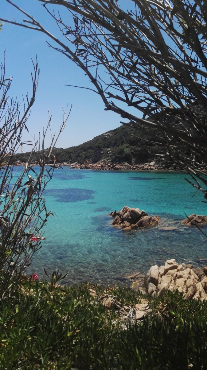 Sica46_'s tweet photo. con la testa sotto il mare 
e la sabbia sulle dita .. https://t.co/0e8VHXtwML