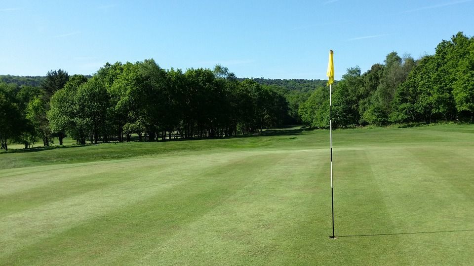 OttawaGolf tweet media