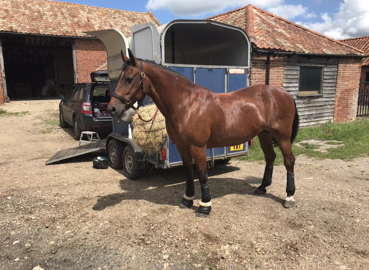 Such a gorgeous day to be hiring the ménage for Norfolk Show Practice <a href="/SotterleyEstate/">Sotterley Estate</a> ! A beautiful arena, and so well kept!! I’ll be ringing Monday to book some more! 
Thank you!!!