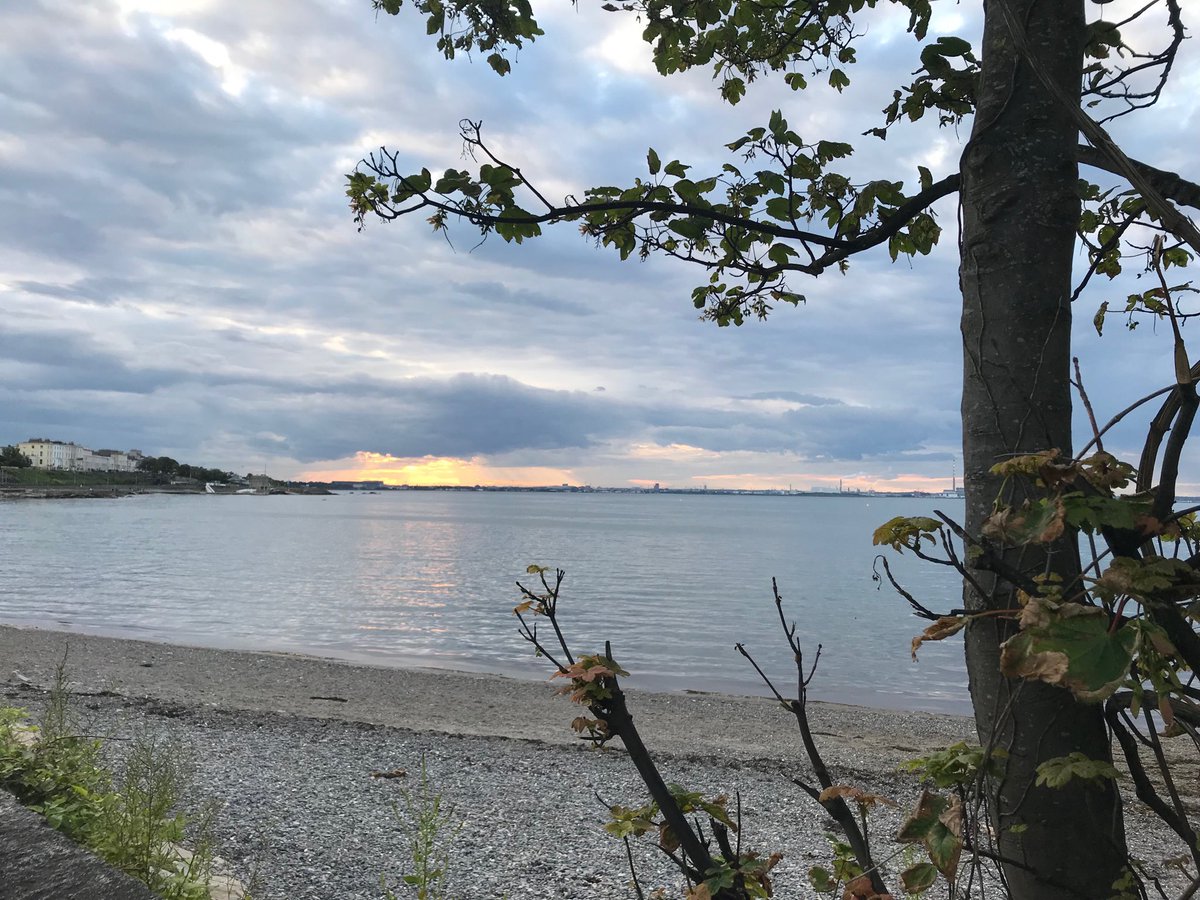 Suzanne Indja tweet media