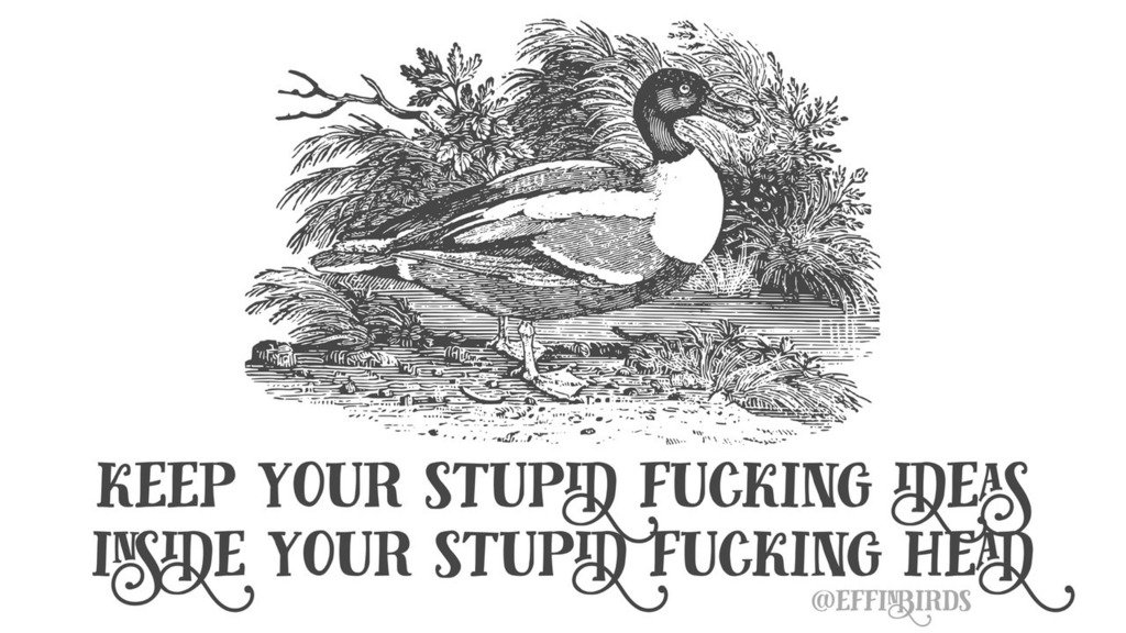EffinBirds's tweet photo. https://t.co/cA3LThBiSt