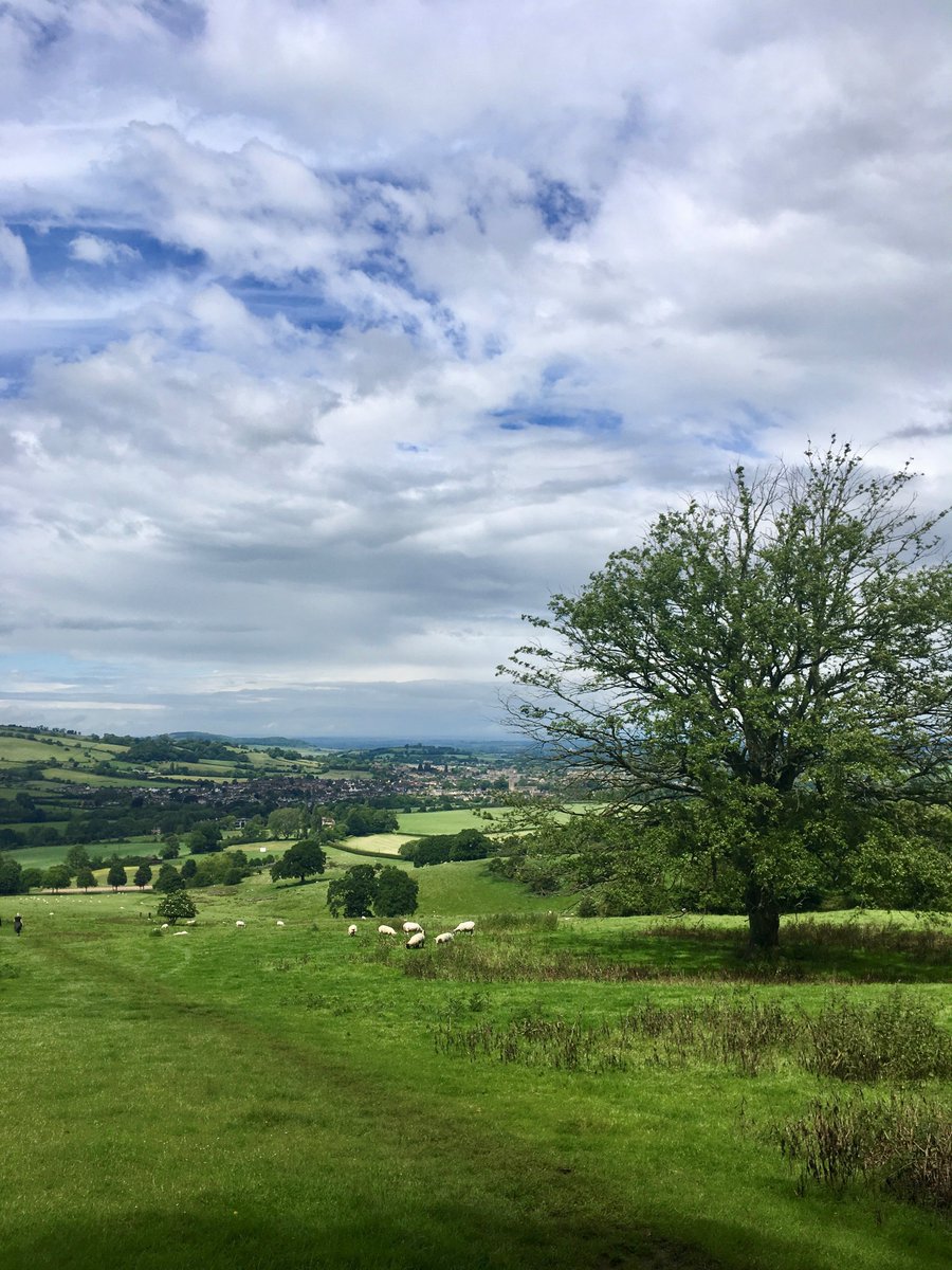 Winchcombe Show tweet media