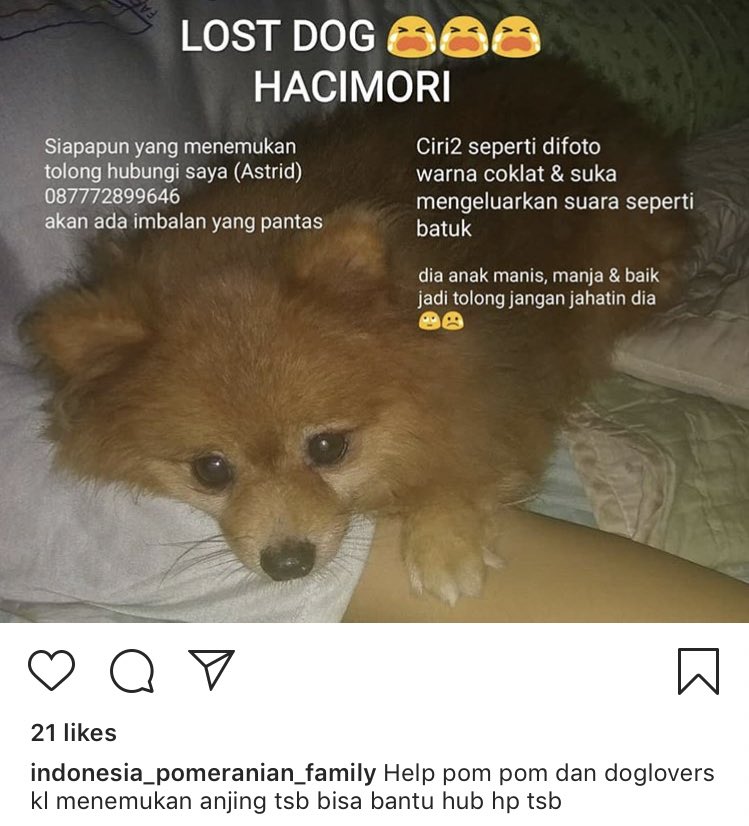 Toona Fyish On Twitter Hello Im Crying At 3am Because I Saw