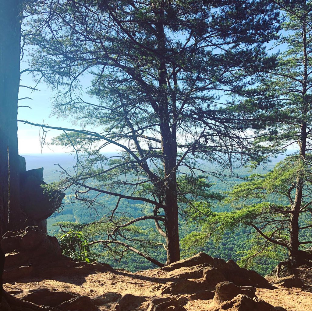 Ashley Nicole tweet media