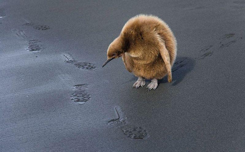 اذهب حيث يرتاح قلبك ..
اذهب حيث ترغب أنت .. حيث تشعر بالأمان والاطمئنان ..
لا تأخذ اتجاهاً لايعجبك فقط لأن الآخرين قد أخذوه