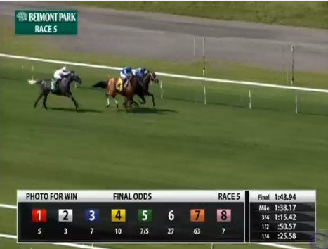 ShempLinder's tweet photo. Scat Daddy colt 'War Treaty' wired the field under Jose Lezcano at Belmont today to win by a nose. Congrats to Branjam Stable & Dave Clark. #TeamBJC π https://t.co/NaApXVNSqX