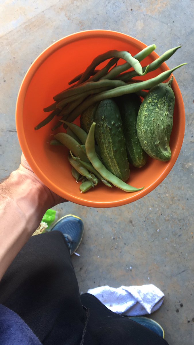AmbrozEric's tweet photo. first garden harvest of the year!
#healthydoc #docswhogarden https://t.co/78pA3qlPOr