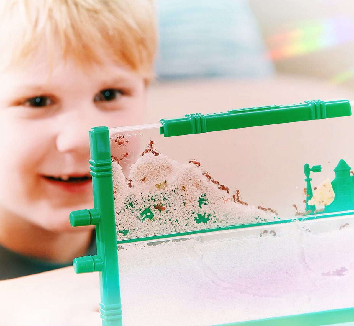 basicfuntoys's tweet photo. Aren’t these little guys amazing?! The ants go marching one by one...🐜
You can get your own Uncle Milton Ant Farm on @Amazon! https://t.co/UwR1MNOnkv
.
.
.
#AntFarm #UncleMilton #Ants #Fun #Kids #Toy #Toys #TargetToys https://t.co/tuoqIKSx5U