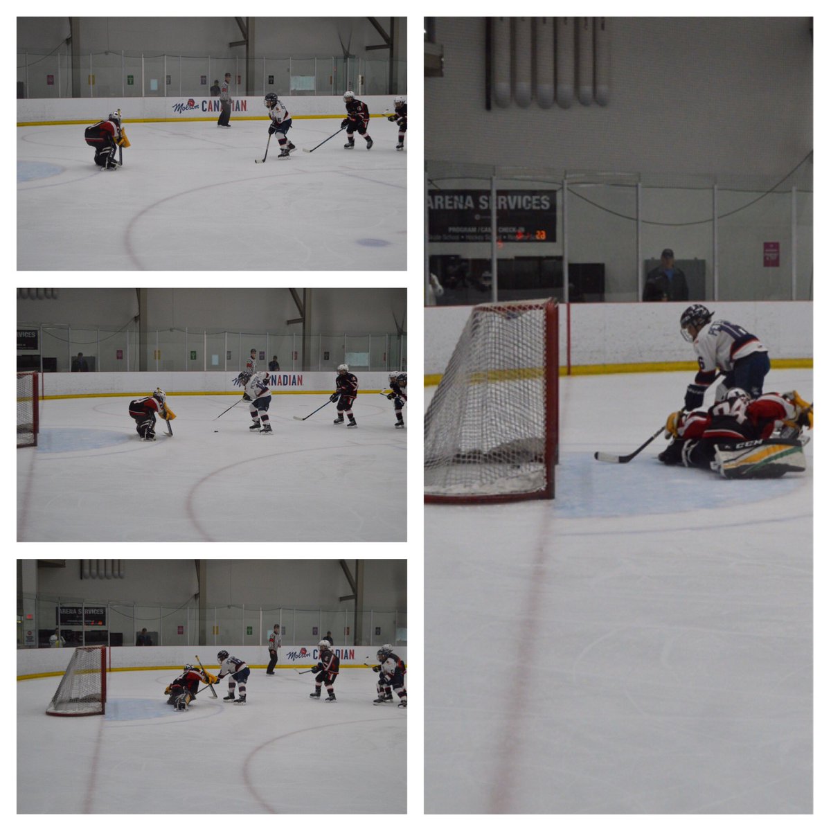 Western Elite Prospects Showcase tweet media