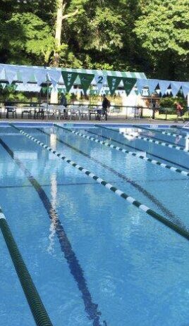 MVP Gator Swim Team tweet media