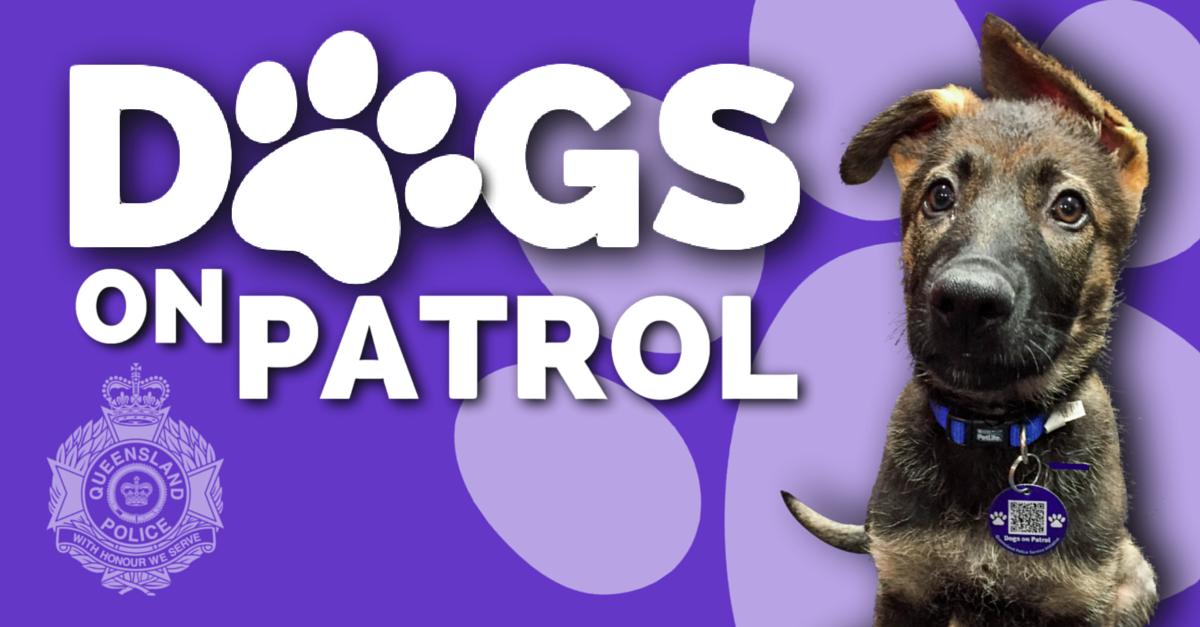 A #QueenslandPolice initiative #DogsonPatrol #Stafford is on TODAY June 16th (2pm-4pm).
Meet the latest #police #puppies in training, visit #dog-related displays & stalls with lots of free offers for you and your dog, including a free engraved #dogtag.
https://www.australiandoglover.com/2019/05/dogs-on-patrol-stafford-2019-june-16.html …