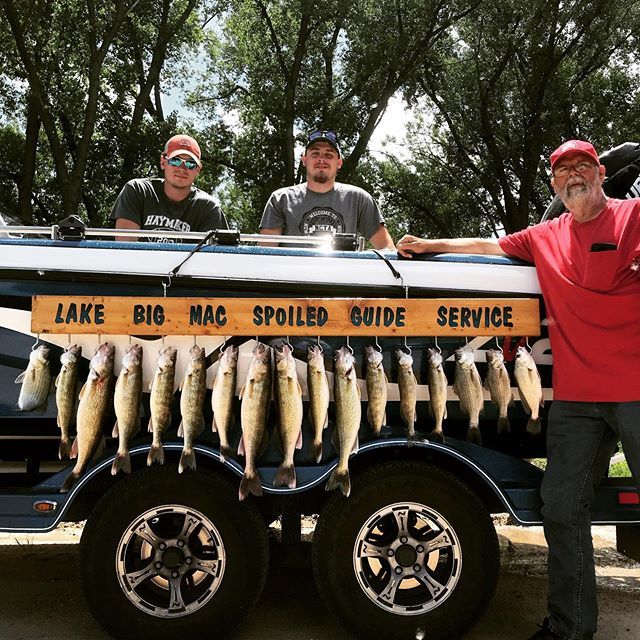 DustinFavinger's tweet photo. Lake McConaughy was showing off today. The Junkers now know what it means to be spoiled by @lakebigmacspoiled guide service. The @walleyenationcreationsllc Purple Tiger Shaky Shad was irresistible! Don’t delay, book today! (970) 580-9229 https://t.co/BrAI6xeZdU https://t.co/6qm5LpKiak